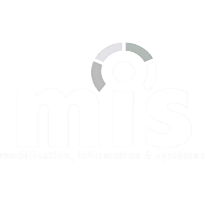 Modélisation, Information et Systèmes
